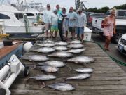 Pirate's Cove Marina, Box fulls of Tuna!!