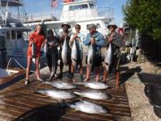 Pirate's Cove Marina, Holy Mackerel!