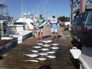 Pirate's Cove Marina, Mixed Bag!