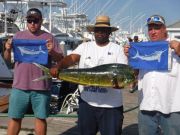 Pirate's Cove Marina, White Marlin are here!