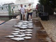 Pirate's Cove Marina, Blew in the TUNA