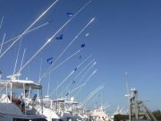 Pirate's Cove Marina, Flags Flying!
