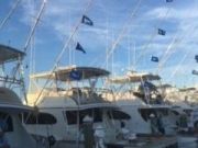 Pirate's Cove Marina, Flags