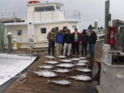 Pirate's Cove Marina, Spring? Where are you?