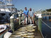 Pirate's Cove Marina, Tuna and Dolphin...