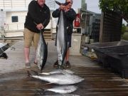 TW’s Bait & Tackle, Daily Fishing Report