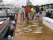 Pirate's Cove Marina, Good thing the fish don't mind the wind and rain....