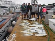 Pirate's Cove Marina, Boxes full of FISH!!