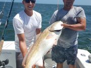 Pirate's Cove Marina, The Drum showed up.