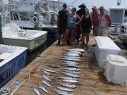 Pirate's Cove Marina, Sailfish and Tilefish...