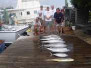 Pirate's Cove Marina, Great Near Shore Fishing Today!