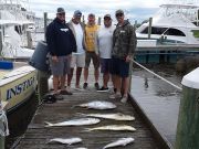 Pirate's Cove Marina, What the Fish...