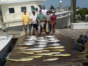 Pirate's Cove Marina, You Want the Gills, We Got the Skills!