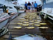 Pirate's Cove Marina, Reelin' in the Weekend!