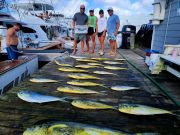 Pirate's Cove Marina, Saturday's Bites!
