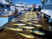 Pirate's Cove Marina, Back to Fishin’