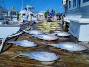 Pirate's Cove Marina, Take it to the Limit!