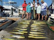 Pirate's Cove Marina, Reel Good Time!