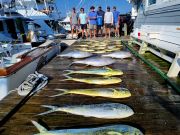Pirate's Cove Marina, Mixed Bag