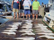 Pirate's Cove Marina, Friday Fishin’!