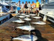 Pirate's Cove Marina, Sunday Funday