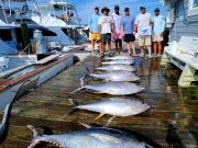 Pirate's Cove Marina, Tight Lines Tuesday!