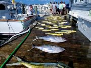 Pirate's Cove Marina, Let’s Play Catch Up!