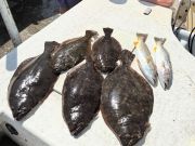 TW’s Bait & Tackle, Flounder Season Opener