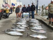 OBX Bait & Tackle Corolla Outer Banks, Corolla Fish Report