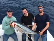 OBX Bait & Tackle Corolla Outer Banks, Corolla Fish Report