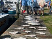 True Grit Sportfishing, Beautiful Friday