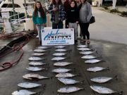 OBX Bait & Tackle Corolla Outer Banks, Corolla Fish Report