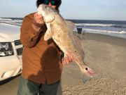 TW’s Bait & Tackle, Daily Fishing Report