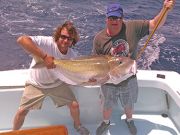 Tuna Duck Sportfishing, Golden Tile