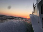 OBX Bait & Tackle Corolla Outer Banks, Corolla Fish Report