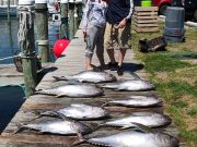 True Grit Sportfishing, May 7th, 2025