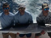 True Grit Sportfishing, Wahoo!