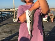 TW’s Bait & Tackle, Daily Fishing Report