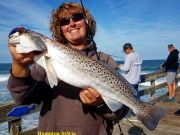 TW’s Bait & Tackle, Daily Fishing Report