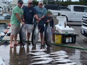 Pirate's Cove Marina, Wednesday's Catch