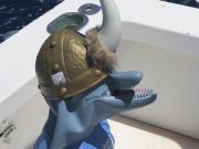 Bite Me Sportfishing Charters, Hatteras Grand Slam Tournament Day One Report!