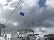 Bite Me Sportfishing Charters, Hatteras Grand Slam Tournament Day Two Report