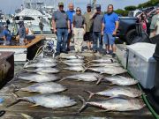 Pirate's Cove Marina, Tuna Time!