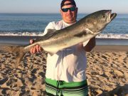 TW’s Bait & Tackle, Daily Fishing Report