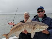 Gecko Sportfishing, Inshore this week