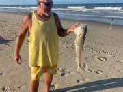 OBX Bait & Tackle Corolla Outer Banks, Corolla Fish Report