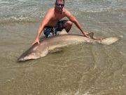 OBX Bait & Tackle Corolla Outer Banks, Corolla Fish Report