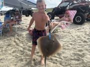 OBX Bait & Tackle Corolla Outer Banks, Corolla Fish Report