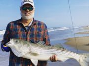 OBX Bait & Tackle Corolla Outer Banks, Corolla Fish Report