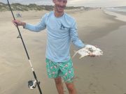 OBX Bait & Tackle Corolla Outer Banks, Corolla Fish Report